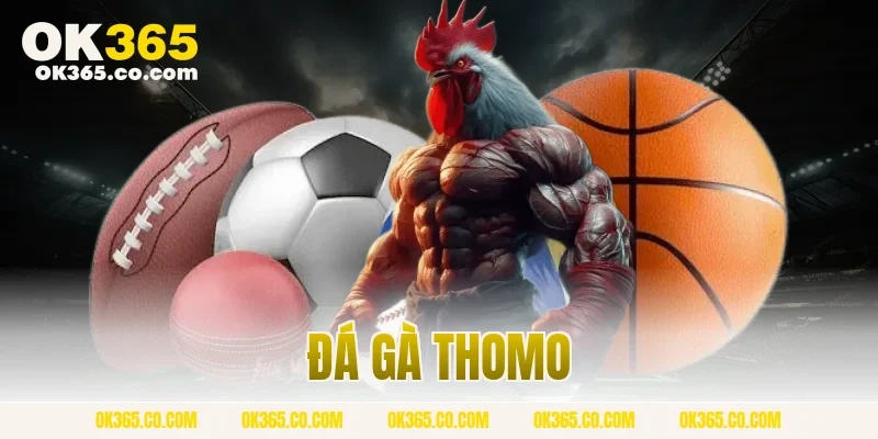 đá gà Thomo